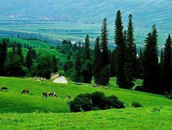 ��ɽ����