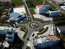 ���纽���