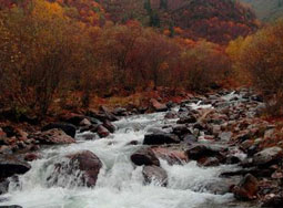 �ຣ��ɽ��԰