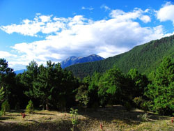 ������ɽ