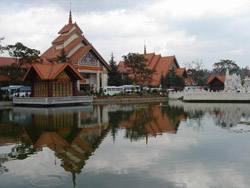 ����羰��