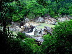 ѽŵ�������Ļ���