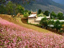 �������˹�