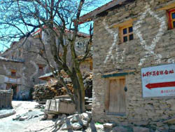 «�������ַ