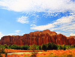 ��ʲ���߲ʷ��