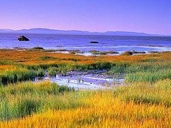 ʥ����˹��