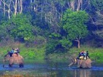 ���������ɭ�ֹ�԰