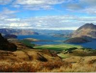 ���ɿ���