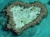 ���ܶ��ٵ�