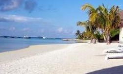 ��ɫ���ú�̲