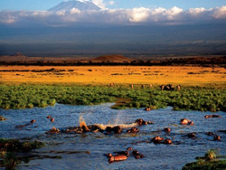 �����������ҹ�԰