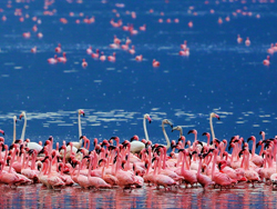 �������Ǻ�