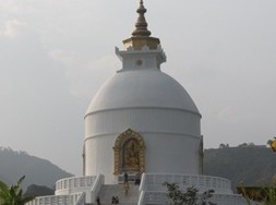 �����ƽ��