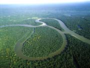 ����ѷ��