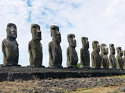 ����Ķ���