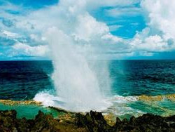 ��Ȼ�����綴