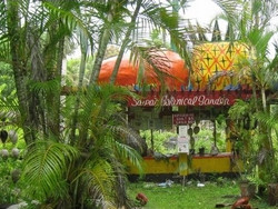 ����ֲ��԰