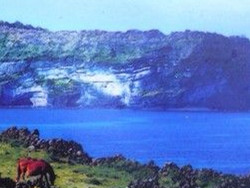 ��ɽ�ճ���