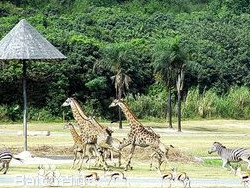 �㽭Ұ������԰