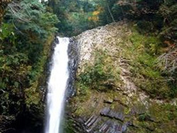 �����ٲ�