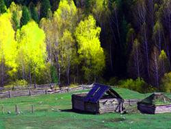 ׼�������