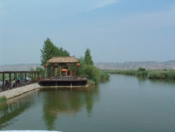 ����Ǣ��