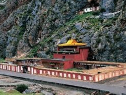 �����ĳɹ�����