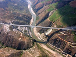 Ԫ������