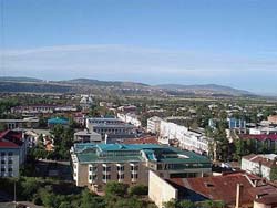 ������Ŀ�