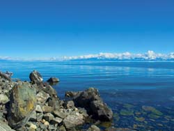 ���Ӷ���