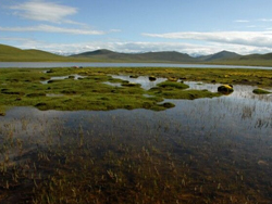 ����ԧ��