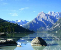 ��¡����