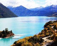 ��ľ����