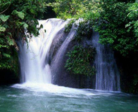 ���ֹŶ��ٲ�