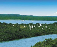 ���Ϻ�����ʪ�ر�����԰