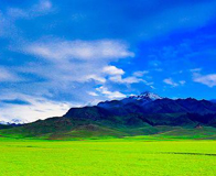 ����ľ��