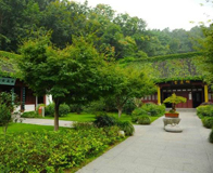 ������Ժ