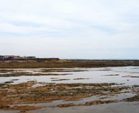 ���̨�Ϻ�԰