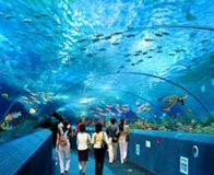 �������κ�������