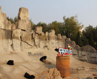 �ൺ������