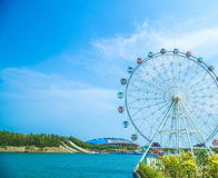 �浺������Ȫ����