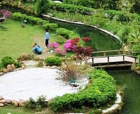 ����ˮ����