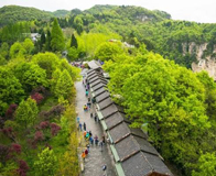 �żҽ�ʮ�ﻭ��