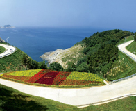 ������̲