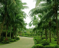 ��¡�ȴ�ֲ��԰