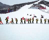 �����ҹ��ʻ�ѩ��