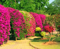 �ȴ�����԰