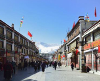 �����˽ǽ�