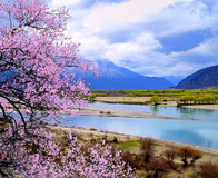 ��֥�һ���