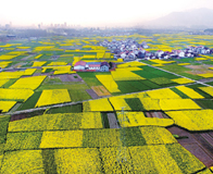 �����Ͳ˻�